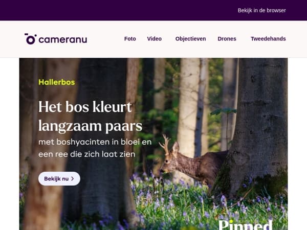 De ultieme plek voor je volgende shoot? Wij vonden ‘m.