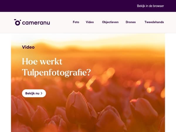 Ontdek waar je de mooiste tulpenvelden in Nederland vindt