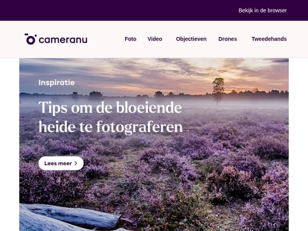 Zo leg je de heide op z’n mooist vast