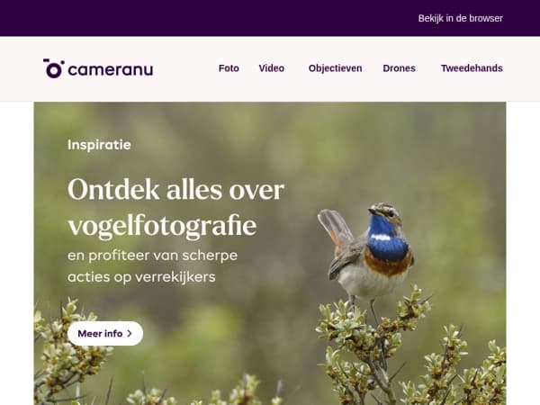 Alles over verrekijkers en vogelfotografie