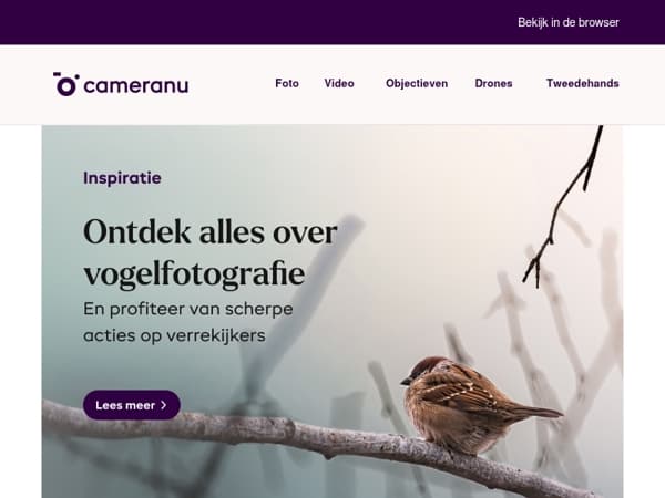 Ontdek alles over vogelfotografie