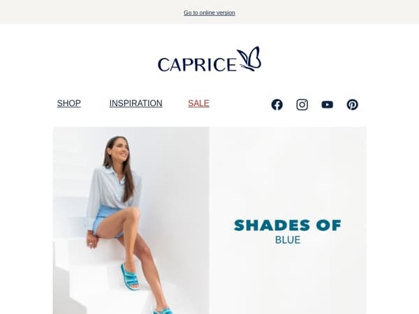 💠 Dive into Style with Shades of Blue