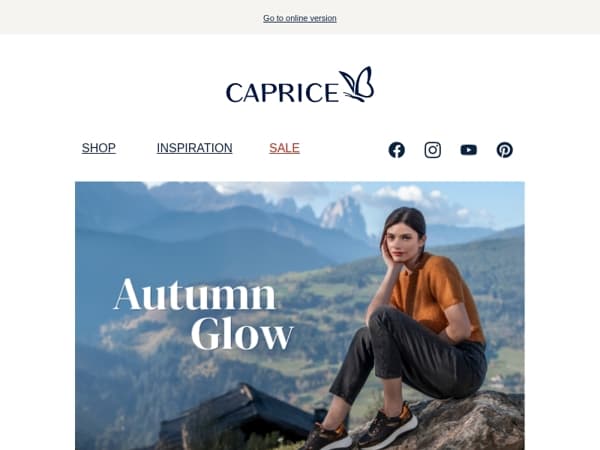 Autumn Glow – Orange & Brown Highlights 🍂