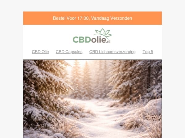 ✨ 12 Gezonde voornemens voor een stralend 2026 (+ handige tips!)