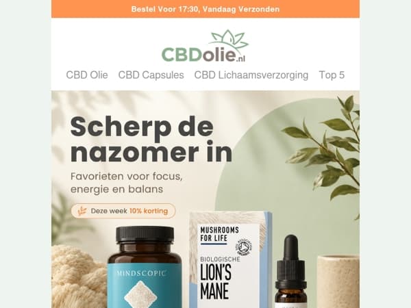 🧠 Weer een druk hoofd na de vakantie? 10% korting op deze focus-boosters!