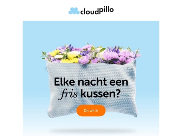 Ervaar een kussen dat elke nacht lekker fris voelt