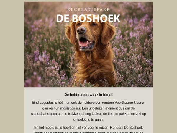 De Veluwe kleurt weer paars 💜