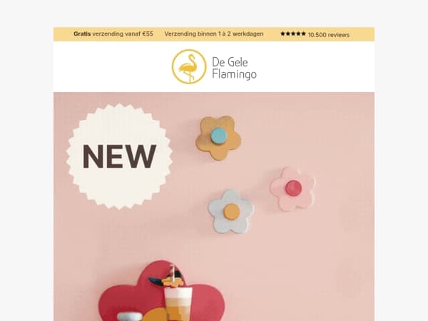 NIEUW 🤩 altijd fris & droog!