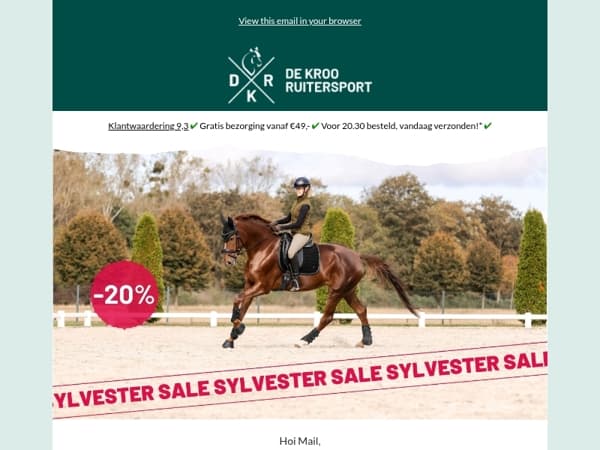 Sylvester Sale Deals! 💥