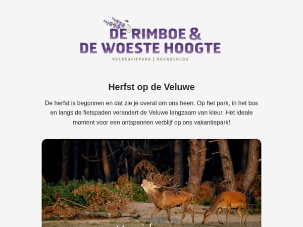 Beleef de herfst bij de Rimboe & de Woeste Hoogte 🤎