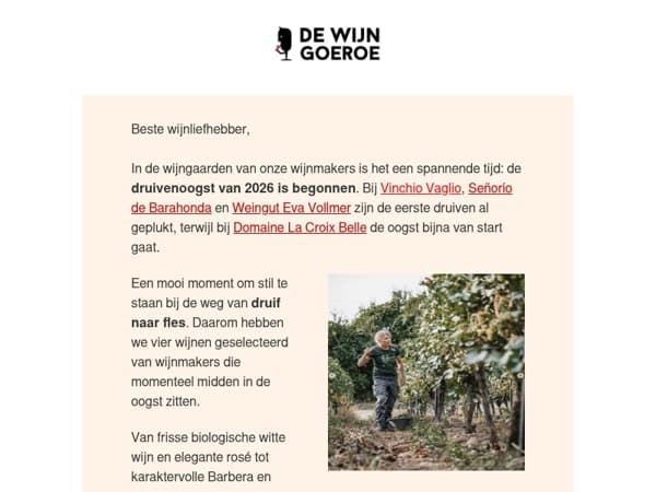 🍇 De oogst is begonnen!