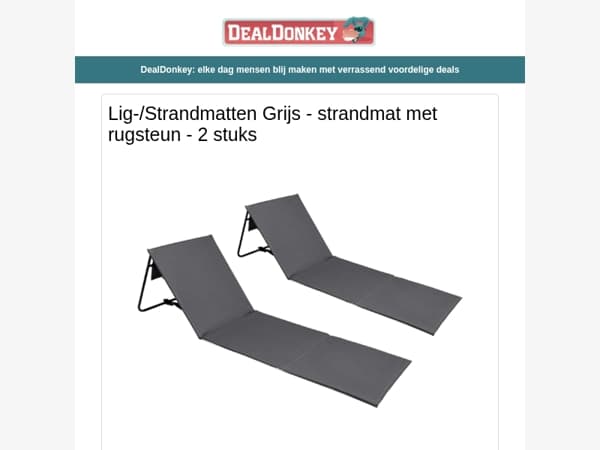2 Strandmat met rugsteun - Tuinslang - Kledingstomer - Powerbank - Hogedrukreiniger