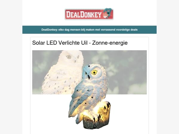 Solar LED Verlichte Uil - Airfryer - Bandenpomp - Elektrische Schoonmaakborstel - Wake-up Light