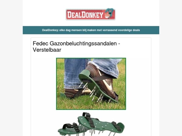 Gazonbeluchtingssandalen - 9 Padel Ballen - Warmtekussen - Druppellader - Leeslamp - Betonschaar