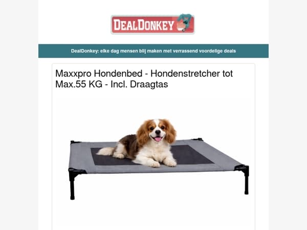 Maxxpro Hondenbed - Camping kooktoestel - Hogedrukreiniger - Druppelslang - Koelbox