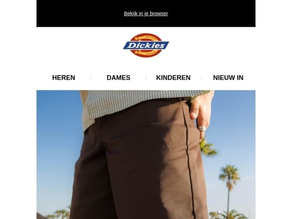 De Shortsgids van Dickies
