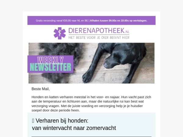 Minder haren, sterke vacht: tips voor de ruiperiode 🐶🐱