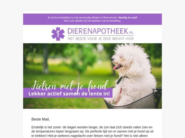 Zo fiets je veilig met je viervoeter 🚴‍♂️