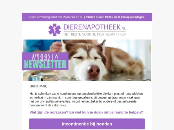 Verliest je hond ongewild urine? Lees wat je kunt doen!