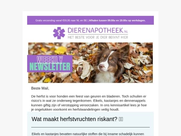 🍂 Herfstwandeling? Pas op met eikels en kastanjes