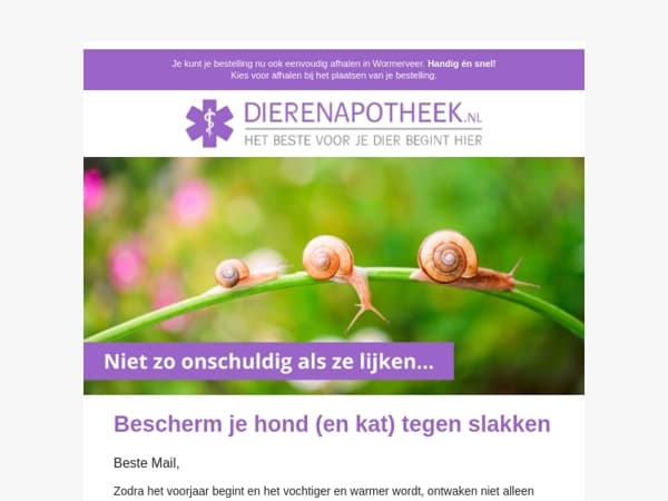 Voorjaar = slakkentijd 🐌 Pas op voor risico’s voor je hond of kat!