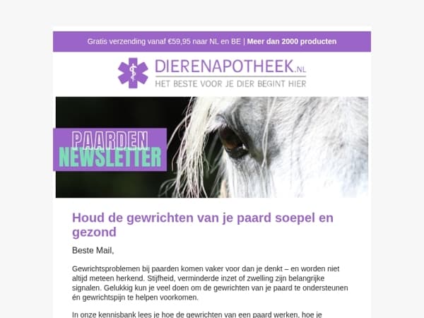 Gewrichtsklachten bij paarden: zo herken en voorkom je ze. 🐎