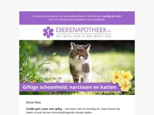 Narcissen: Een verborgen gevaar voor katten❗🐱