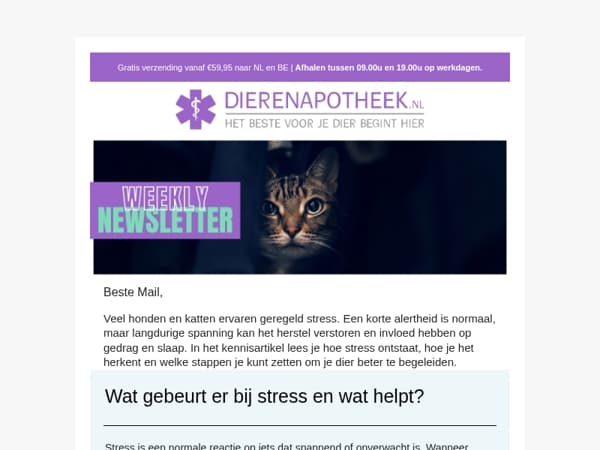 Stress bij je huisdier herkennen en verminderen 🐶🐈