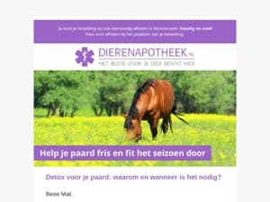 Ontdek de voordelen van detox voor je paard! 🐎
