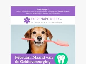 Gezonde tanden voor jouw hond én kat – ontdek hoe! 🦷✨