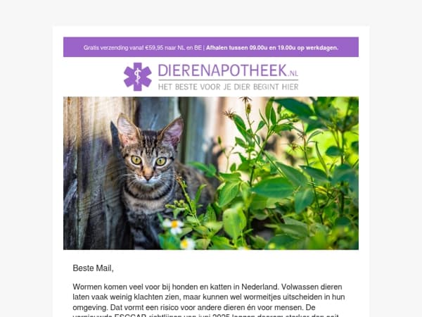 Ontworming van volwassen hond en kat: wat is er veranderd? 🪱