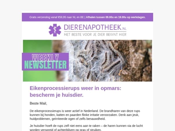 Pas op: Eikenprocessierups weer actief! 🐛