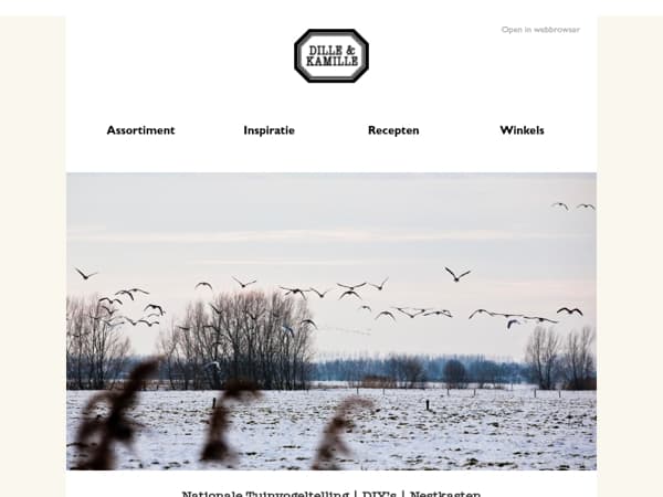 Vogels tellen