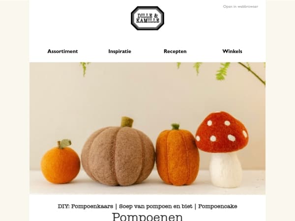 🎃 Pompoenen