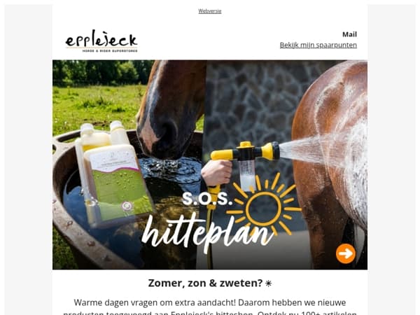 🥵 7 signalen dat je paard last heeft van hittestress