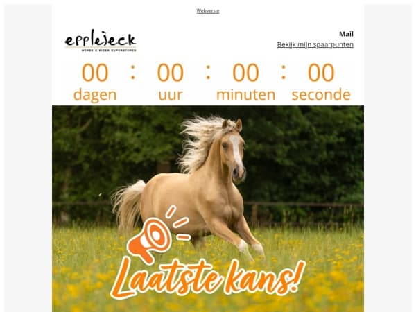 🐎 Laatste kans: korting op rijbroeken, -leggings & La Valencio