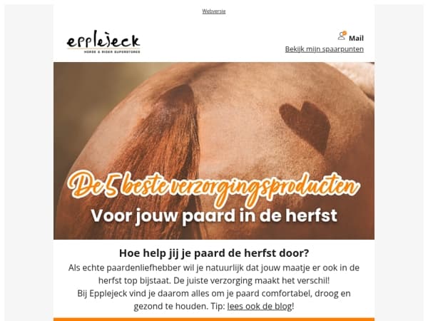 🐴 Hoe help jij je paard de herfst door? 🍂