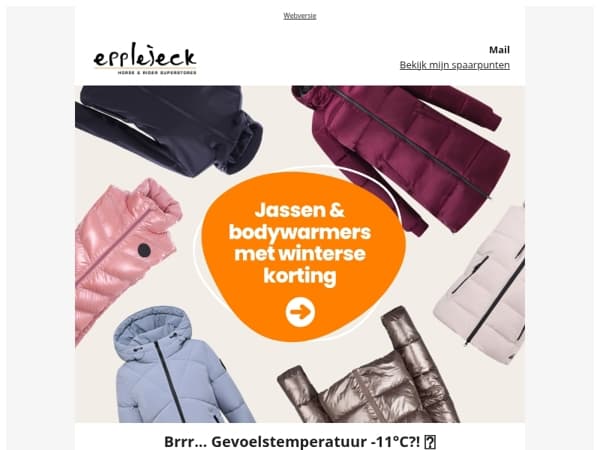 🐎🥶 Bereid je voor op gevoelstemperatuur -11°C