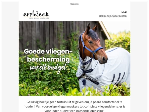 🐎🪰 Vliegenbescherming voor elk budget