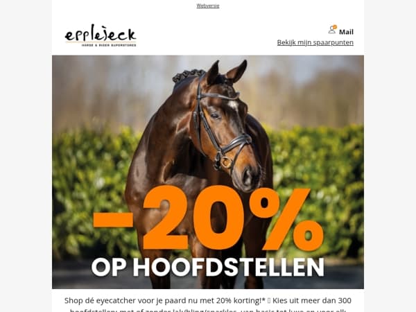 💌 Nieuw bericht: hoofdstellen & Active Rider SALE!