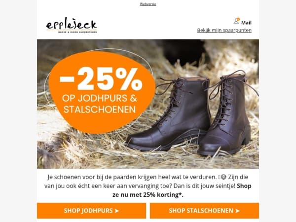 Mail! 🐎 Dít ruiteritem is waarschijnlijk aan vervanging toe