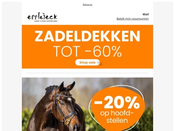🐎 Hoofdstellen voor elk budget, nu éxtra voordelig!