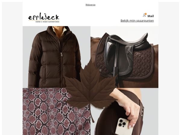 🍁🐴 Back in the saddle! Dit zijn dé herfstkleuren