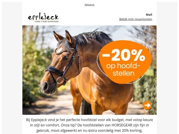 🐴 Jouw nieuwe hoofdstel wacht op je!