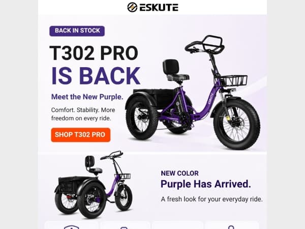 Back in Stock: T302 Pro Electric Trike + New Purple Color