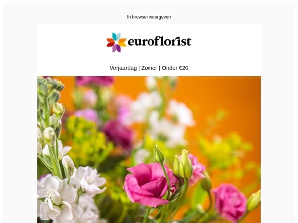 ☀️ Dit zijn onze zomertoppers