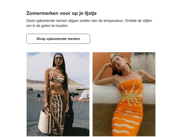De sterren van de zomer
