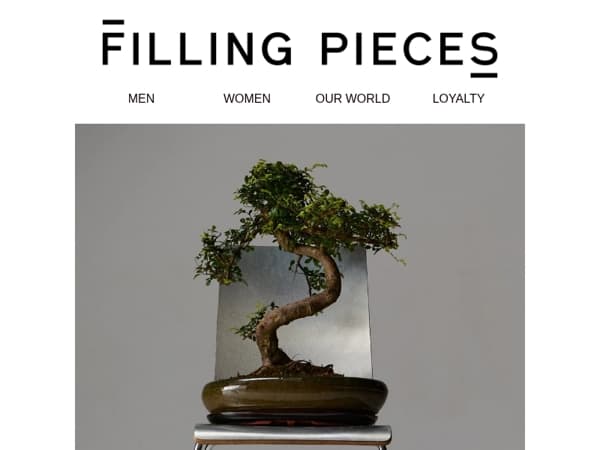 Bridging the gap together