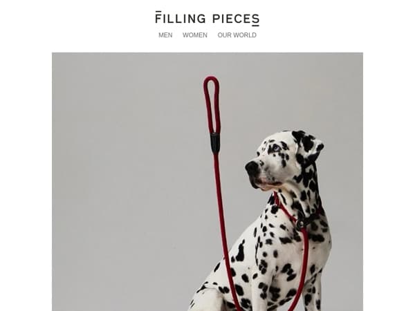 Welcome to our universe