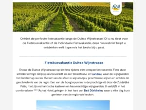 Fiets door de wijngaarden van de Duitse Wijnstrasse!